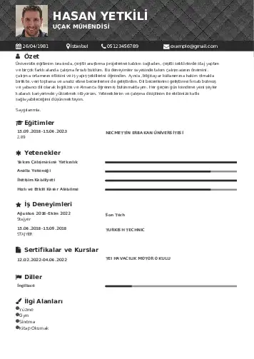 Havacılık Ve Uzay Uçak Mühendisi Cv Örnekleri cv indir